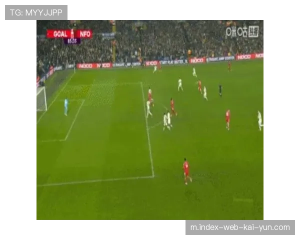 跑动距离领跑联赛 利兹联拼搏精神换保级希望 跑动距离领跑联赛 利兹联拼搏精神换保级希望