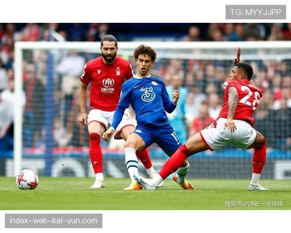 水晶宫主场一球小胜狼队 盖桑在比赛最后时刻完成绝杀